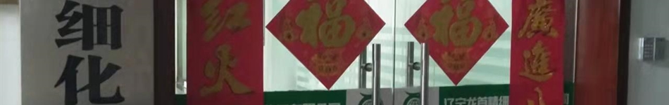 遼寧龍首精細化工有限公司